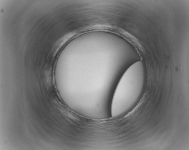 X0000080811170200612151050