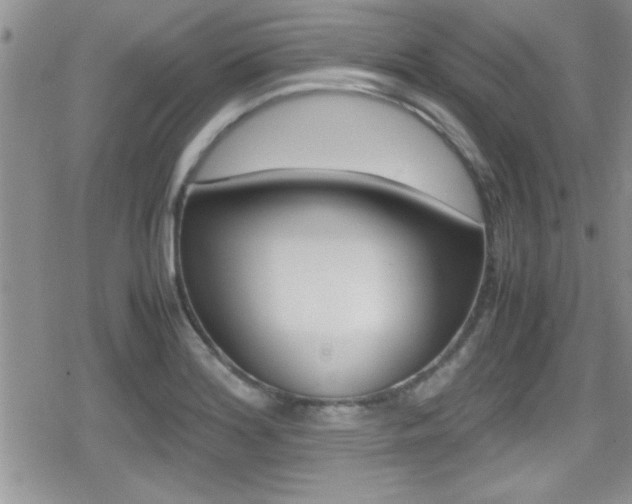 X0000080811180200612151050