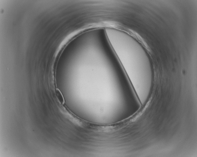 X0000080811184200612151050