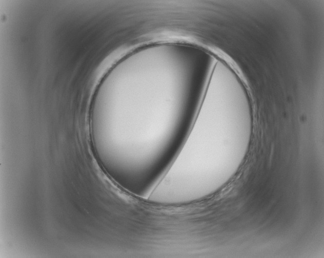 X0000080811191200612151050