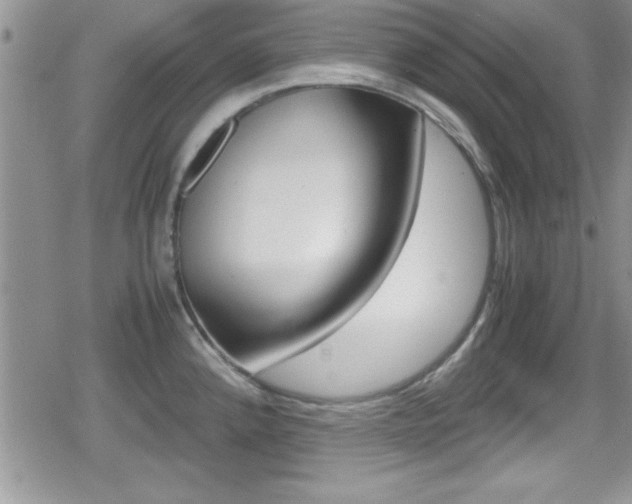 X0000080811192200612151050