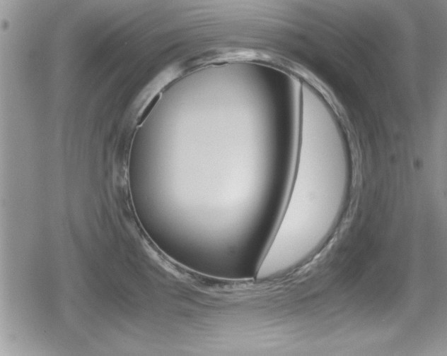 X0000080811193200612151050