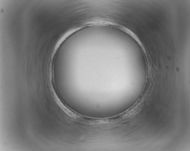 X0000080811195200612151050