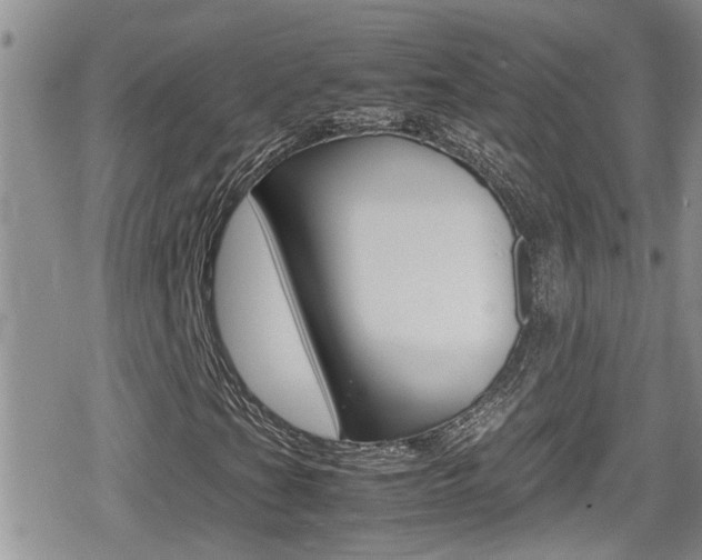 X0000080811201200612151049