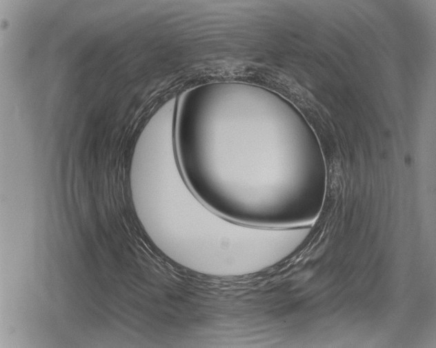 X0000080811202200612151049