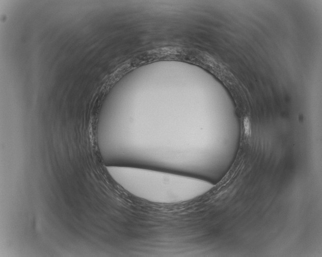 X0000080811203200612151049