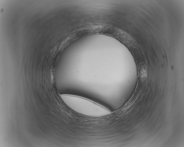 X0000080811204200612151049