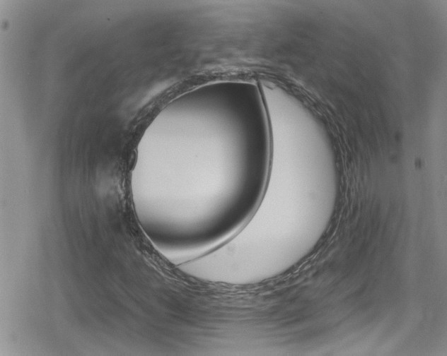 X0000080811206200612151049