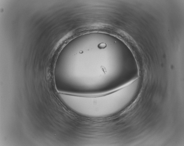 X0000080811210200612151049