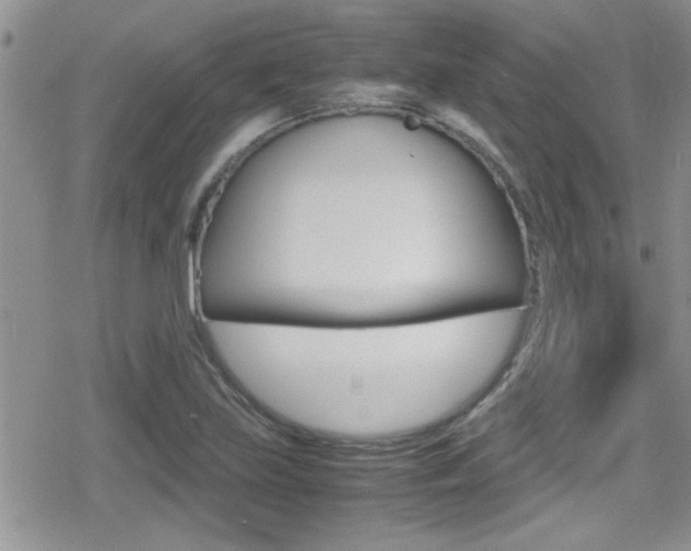 X0000080811219200612151049