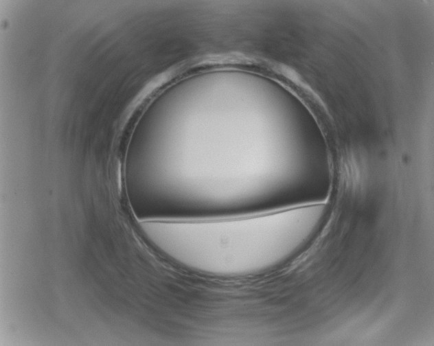 X0000080811221200612151049