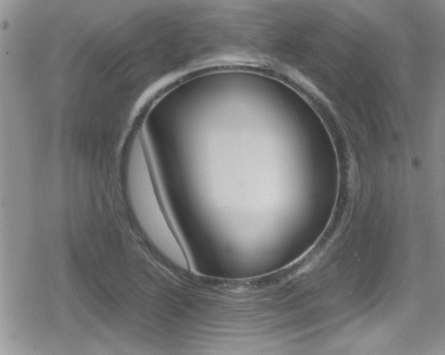 X0000080811222200612151049