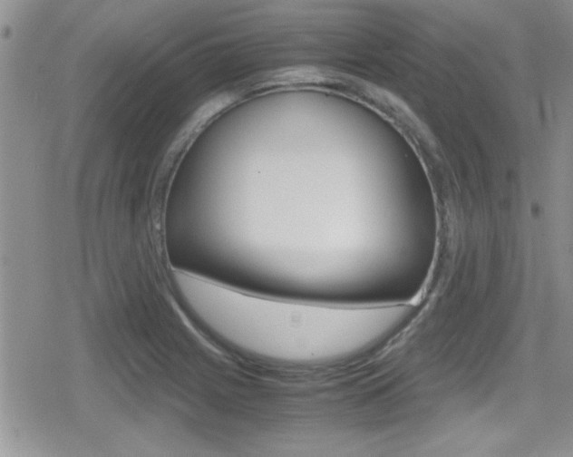 X0000080811225200612151049