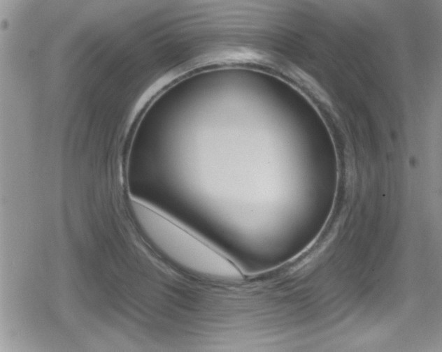 X0000080811226200612151049
