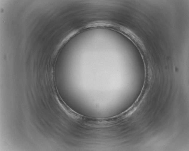 X0000080811233200612151049