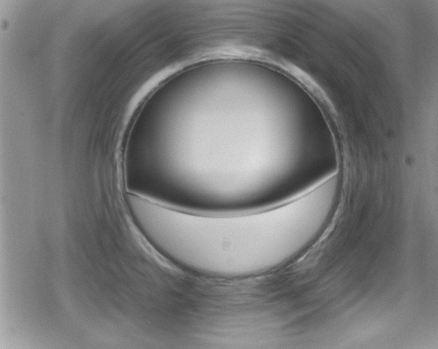 X0000080811238200612151049