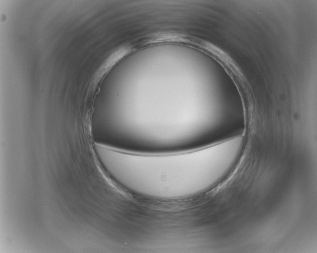 X0000080811241200612151050