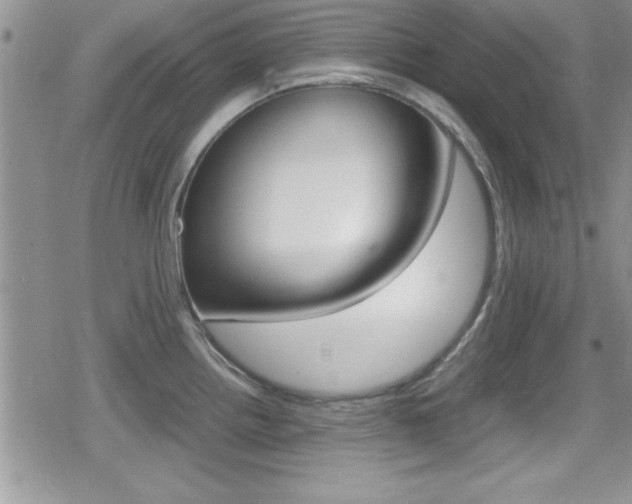 X0000080811242200612151050