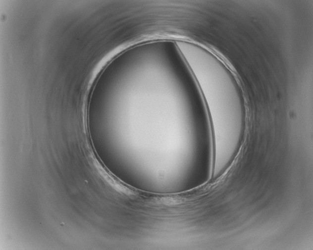 X0000080811246200612151050