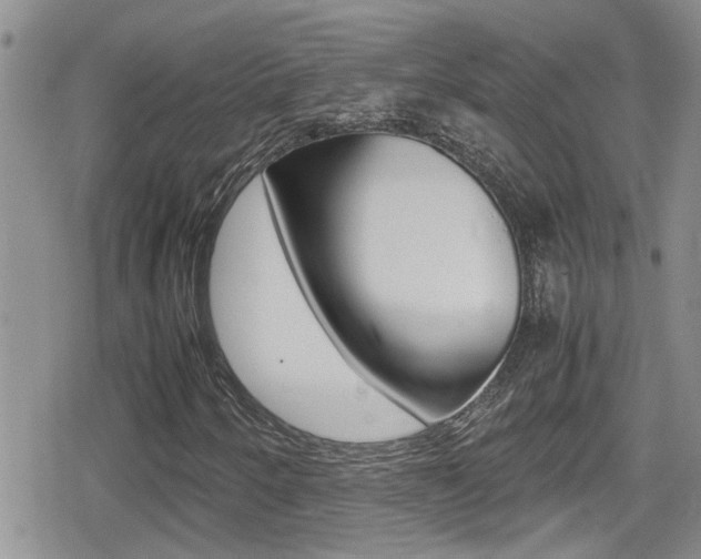 X0000080811250200612151049