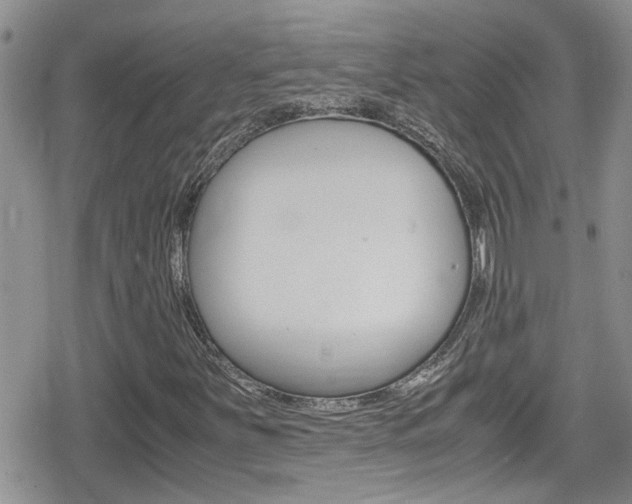 X0000080811251200612151049