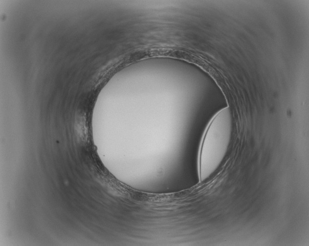X0000080811252200612151049