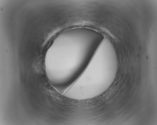 X0000080811256200612151049