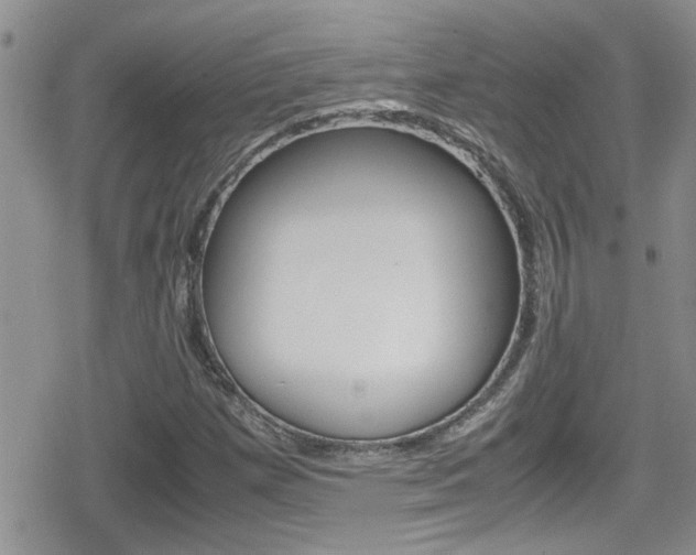 X0000080811257200612151049