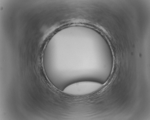 X0000080811263200612151049