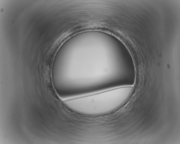 X0000080811265200612151049