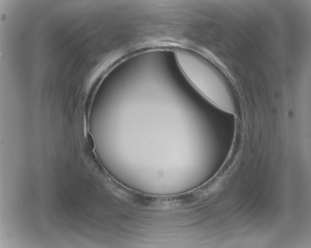 X0000080811269200612151049