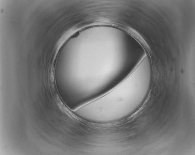 X0000080811292200612151048