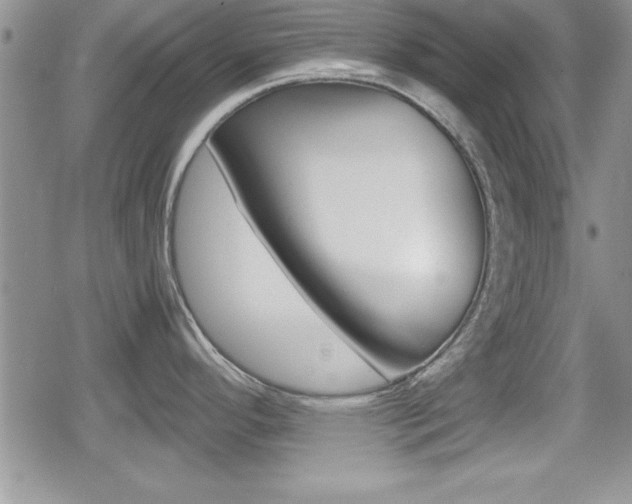 X0000080811296200612151048
