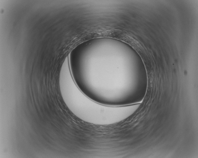 X0000080811298200612151047