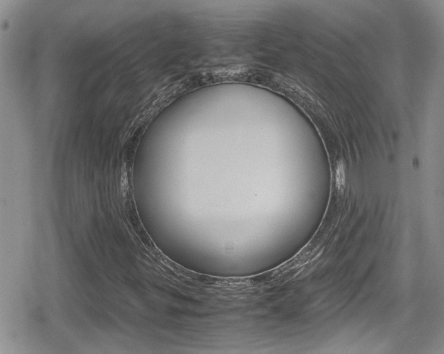 X0000080811299200612151047