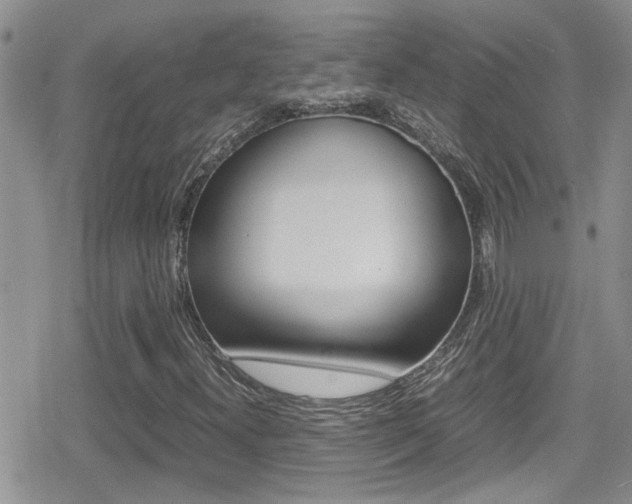X0000080811300200612151047