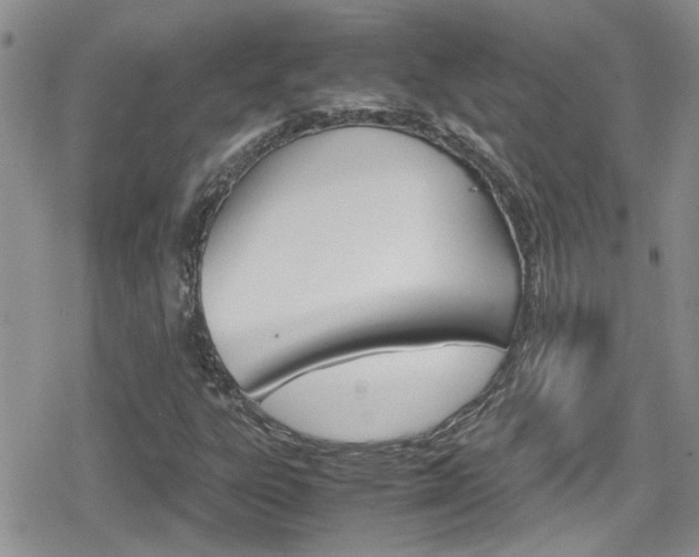 X0000080811303200612151047