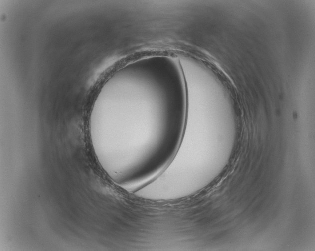 X0000080811304200612151047