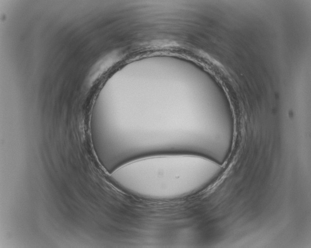 X0000080811306200612151047