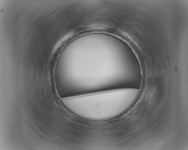X0000080811307200612151047