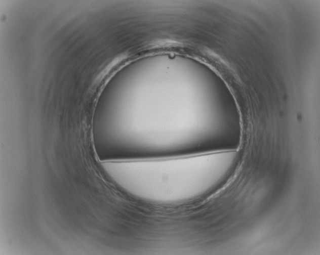 X0000080811313200612151048