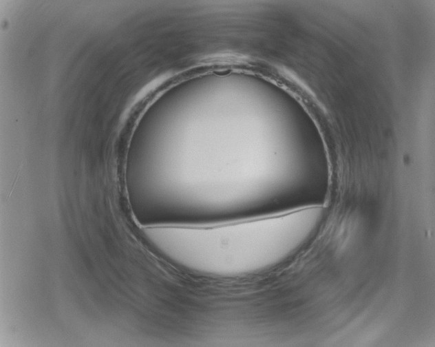 X0000080811315200612151048