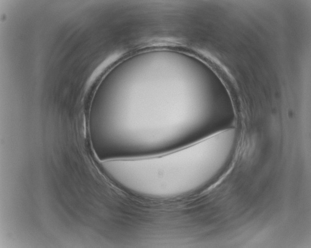 X0000080811317200612151048