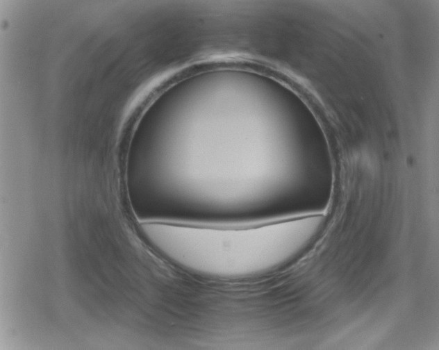 X0000080811319200612151048