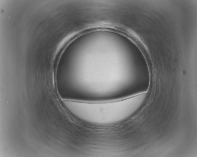 X0000080811320200612151048