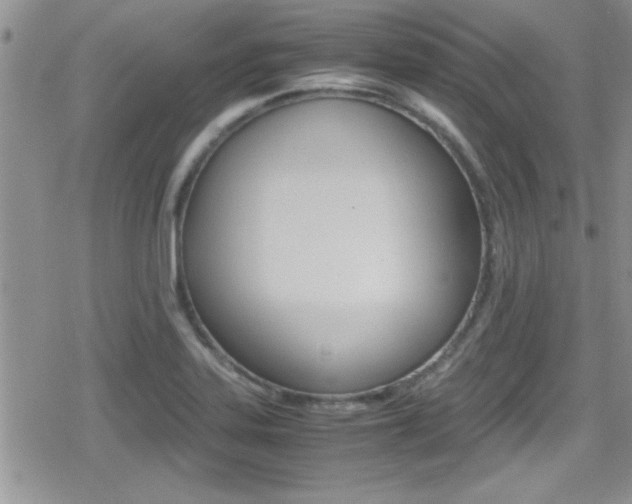 X0000080811323200612151048