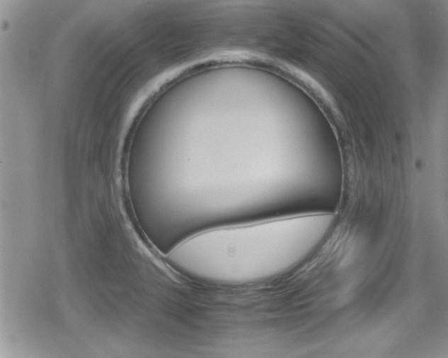 X0000080811327200612151048