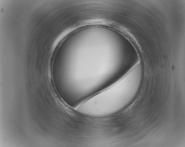 X0000080811328200612151048