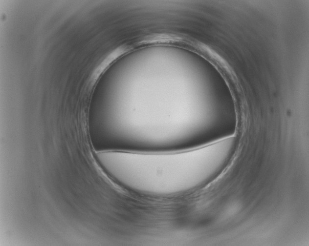 X0000080811329200612151048