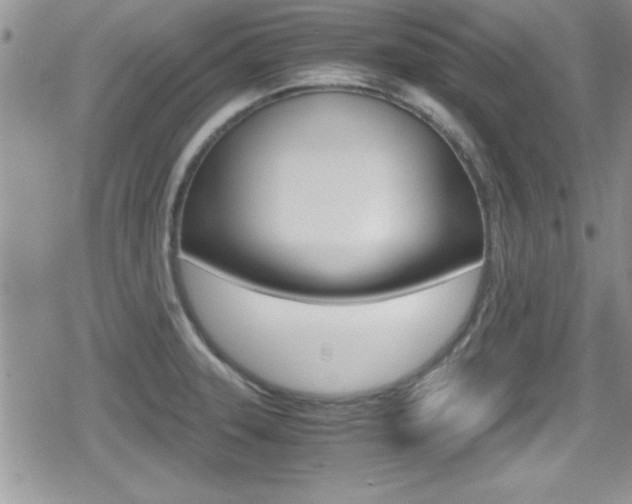 X0000080811331200612151048